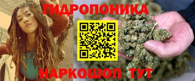 ГАЛЛЮЦИНОГЕННЫЕ ГРИБЫ Шебекино