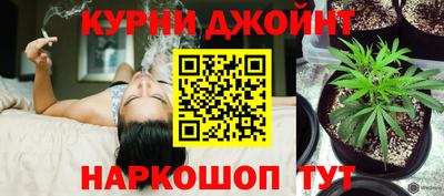 стаф Шахты