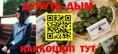 стаф Шахты