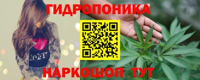 стаф Шахты