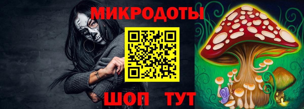 Галлюциногенные грибы Psilocybe Октябрьский