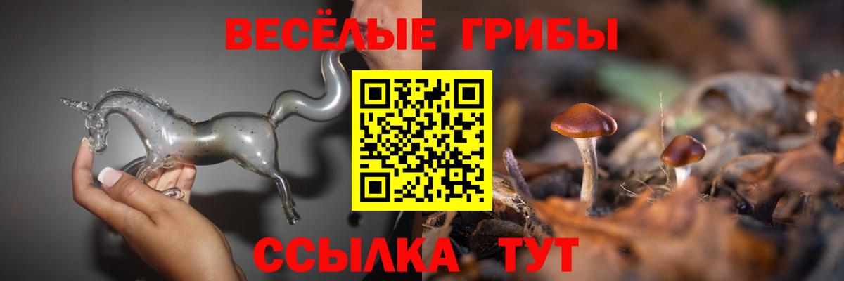 Октябрьский  Галлюциногенные грибы Cubensis  Вход с VPN 